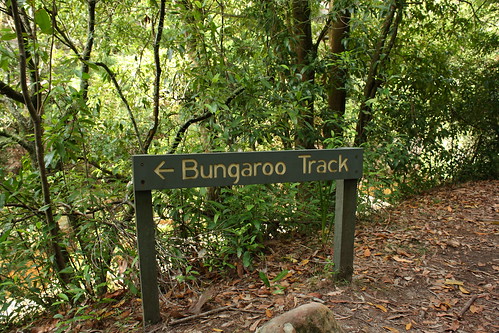 Bungaroo Track 2